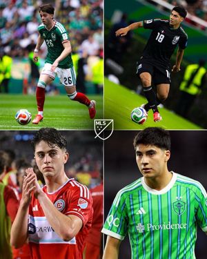 Video post by @mls on TikTok