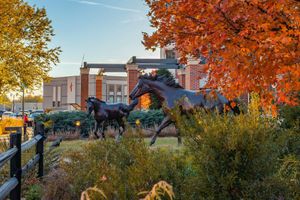 Image post by @okstate on Instagram