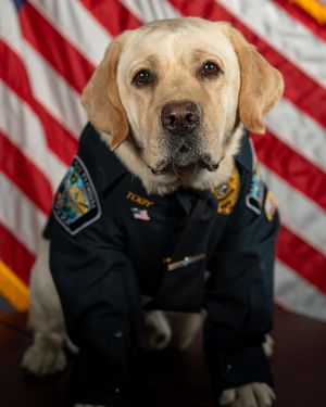 Image post by @palmbaypd on Instagram