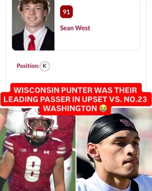 Image post by @br_cfb on Instagram