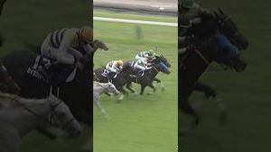 Video post by @worldhorseracing on YouTube