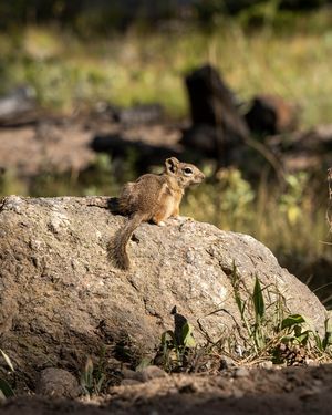 Image post by @johannahleecreative on Instagram