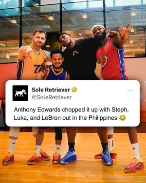 Image post by @soleretriever on Instagram