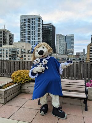 Image post by @CarltonTheBear on Twitter