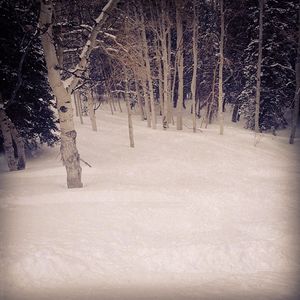 Image post by @pcski on Instagram