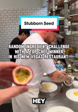 Video post by @vegas on TikTok