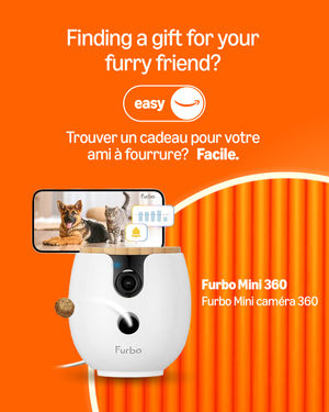 Image post by @amazonca on Instagram