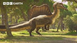 Video post by @bbcearth on YouTube