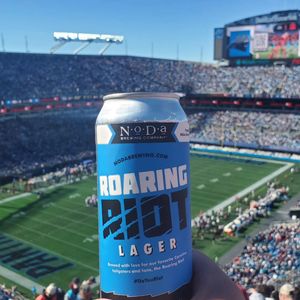 Image post by @roaringriot on Instagram