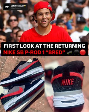 Image post by @soleretriever on Instagram