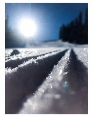 Image post by @whistlerblackcomb on Instagram