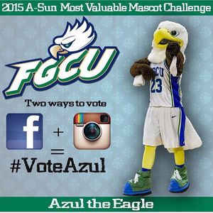 Image post by @fgcu_cheer on Instagram