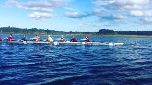 Image post by @templewrowing on Instagram