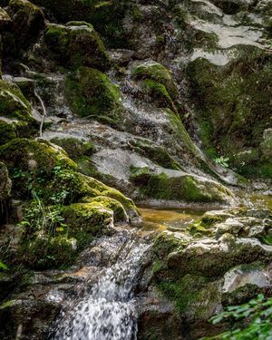 Image post by @cristan.nature.photography on Instagram