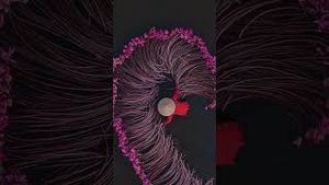 Video post by @dji on YouTube