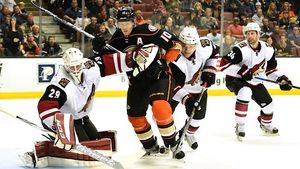 Image post by @anaheimducks on Instagram