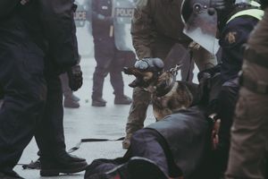 Image post by @dillonsphotos705 on Instagram