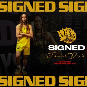 Image post by @uapblionswbb on Instagram