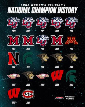 Image post by @hockeyhousepod on Instagram