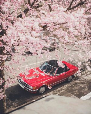 Image post by @mercedesbenz on Instagram
