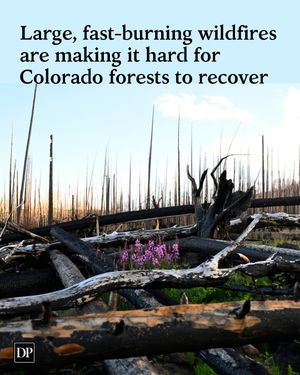 Image post by @denverpost on Instagram