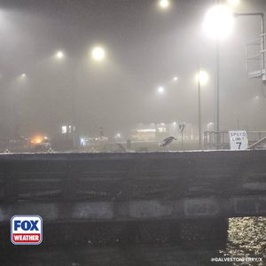 Image post by @foxweather on Instagram