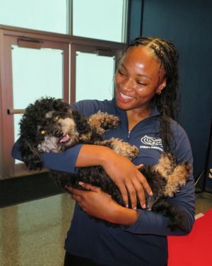 Image post by @fauwbb on Instagram