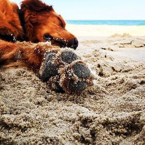 Image post by @theouterbanksnc on Instagram