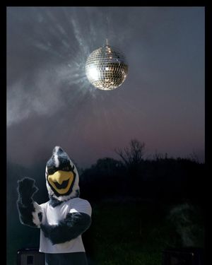 Image post by @usjct on Instagram