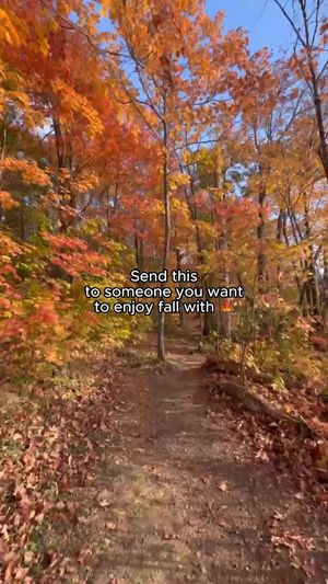 Video post by @grandelylodge on Facebook