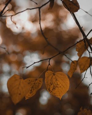 Image post by @kate.simple.life on Instagram