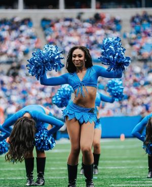 Image post by @topcats on Instagram