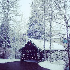 Image post by @vailmtn on Instagram