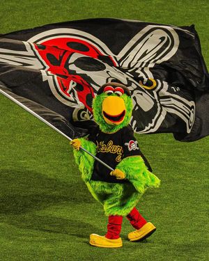 Image post by @pirate_parrot on Instagram