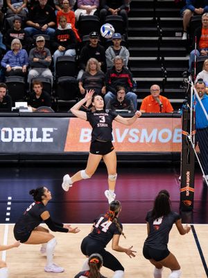 Image post by @beavervball on Instagram