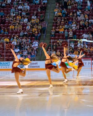 Image post by @gopherhockeycheer on Instagram