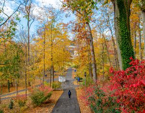 Image post by @penn_state on Twitter