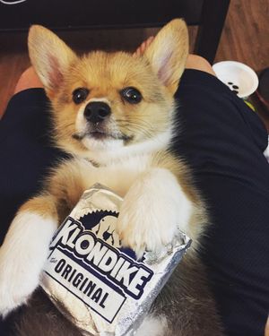 Image post by @aircorg on Instagram