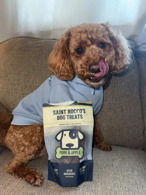 Image post by @saintroccostreats on Instagram