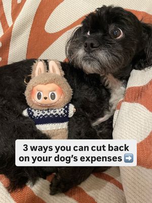 Image post by @nerdwallet on Instagram
