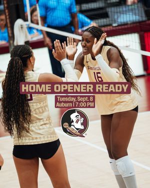 Image post by @fsuvolleyball on Instagram