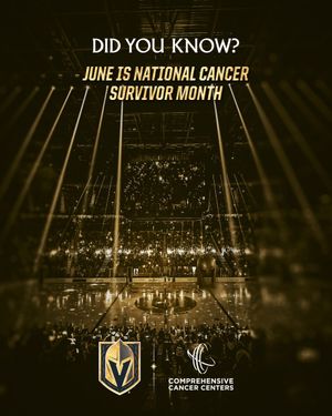 Image post by @GoldenKnights on Twitter