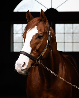 Image post by @coolmoreamerica on Instagram