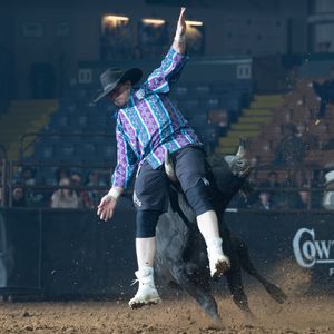 Image post by @ultimatebullfighters on Instagram