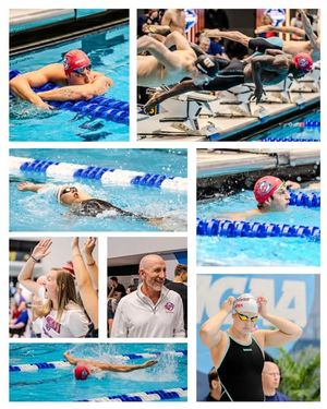 Image post by @fsc_swimming on Instagram