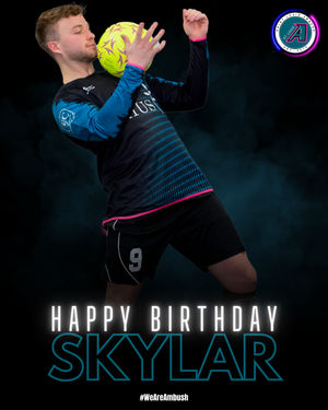 Image post by @stlouisambush on Instagram