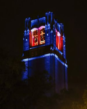 Image post by @floridagators on Instagram