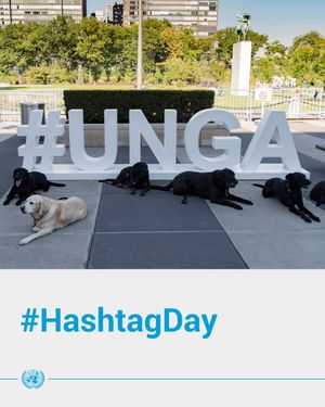 Image post by @unitednations on Instagram