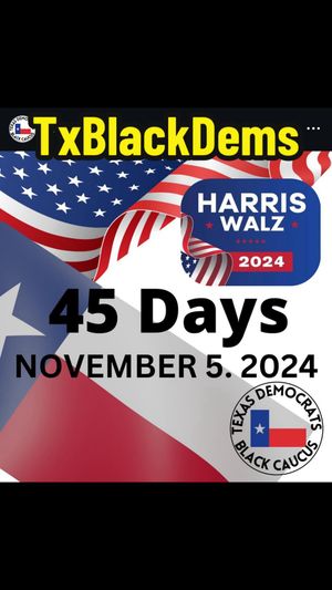 Video post by @txblackdems on TikTok