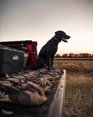 Image post by @gavin.fernholz on Instagram